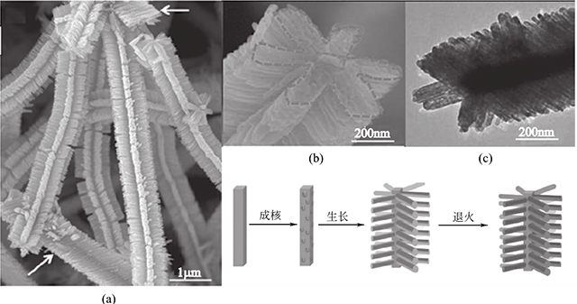 Fe2O3/SnO2異質(zhì)納米結(jié)構(gòu)的形成機理和形貌